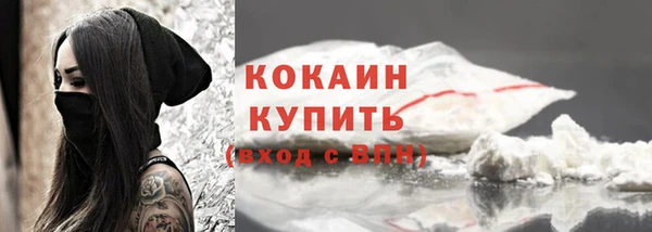 прущая мука Дмитриев