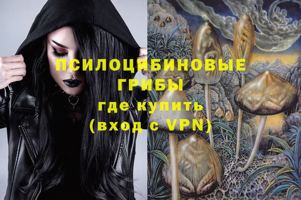 прущая мука Дмитриев