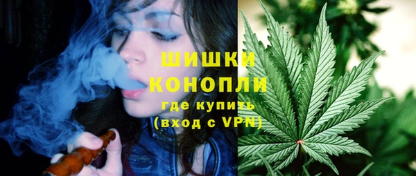 прущая мука Дмитриев