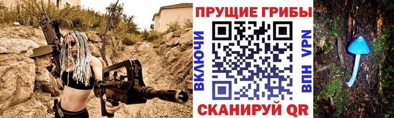 Псилоцибиновые грибы Cubensis  Купить где  Полысаево 